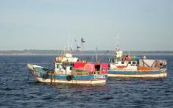 Perú – Seguridad alimentaria será tema principal en reunión de ministros de pesca del APEC en Perú