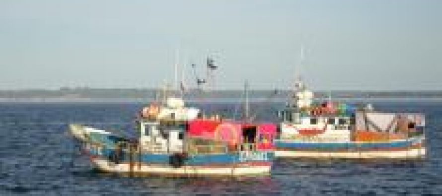Perú – Seguridad alimentaria será tema principal en reunión de ministros de pesca del APEC en Perú