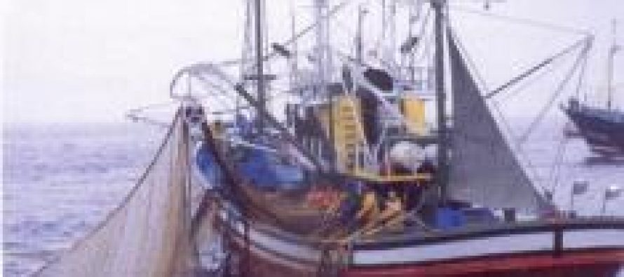 Perú – Imarpe ejecutará Operación Eureka para determinar presencia de anchoveta en el mar