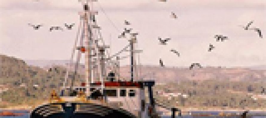 Libertad y Desarrollo opina sobre ley de Pesca