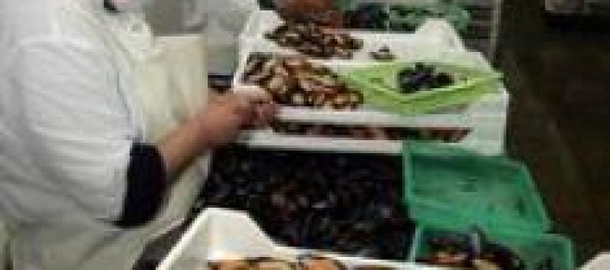 La demanda mundial de productos del mar se mantiene sólida.