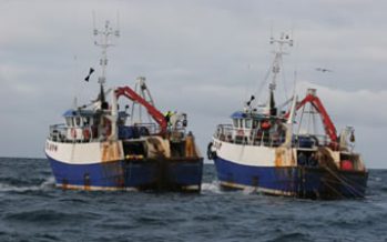 Gobierno adelanta que proyecto que incluye licitaciones de cuotas de pesca irá al Congreso este semestre