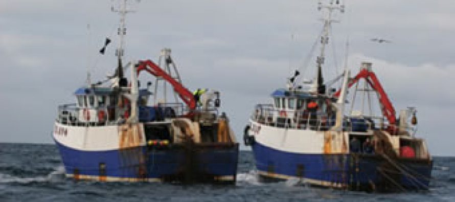 Los puntos que marcan la discusión de la Ley de Pesca