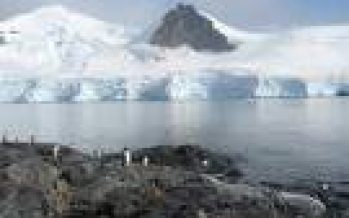 Proyecto que implementa medida internacional de conservación pesquera está listo para ser enviado al Ejecutivo