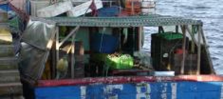 Gobierno alista sistema de cuotas para regular capturas de pesqueros artesanales.