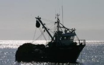 La nueva Ley de Pesca que impulsará el gobierno y a la que no se oponen los industriales