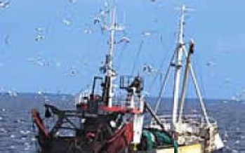 Ley de Pesca: propuestas y críticas de los implicados