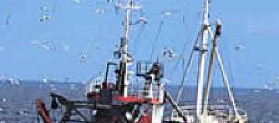 Ley de Pesca: propuestas y críticas de los implicados
