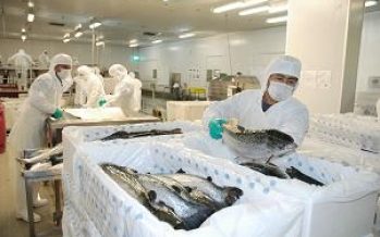 Longueira: “Las cuotas de pesca que no sean licitadas pagarán patentes y royalty”