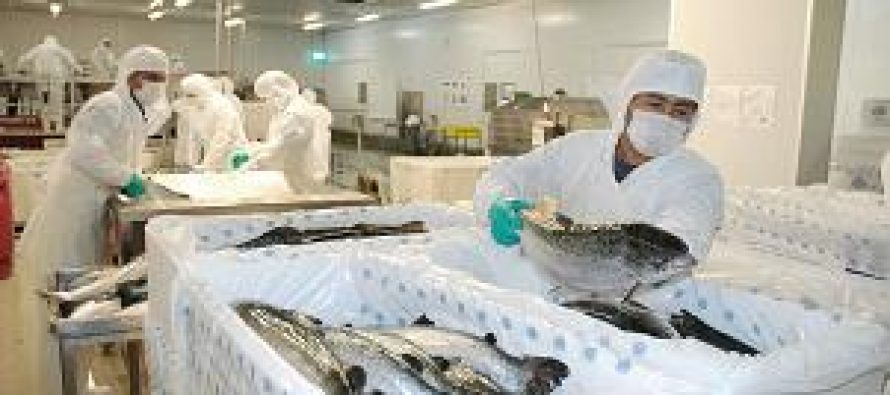 Longueira: “Las cuotas de pesca que no sean licitadas pagarán patentes y royalty”