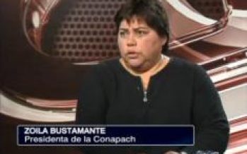 Zoila Bustamante: “Nosotros estamos porque la ley salga en diciembre”