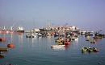 Pesca en Chile: Una Carrera contra el Tiempo
