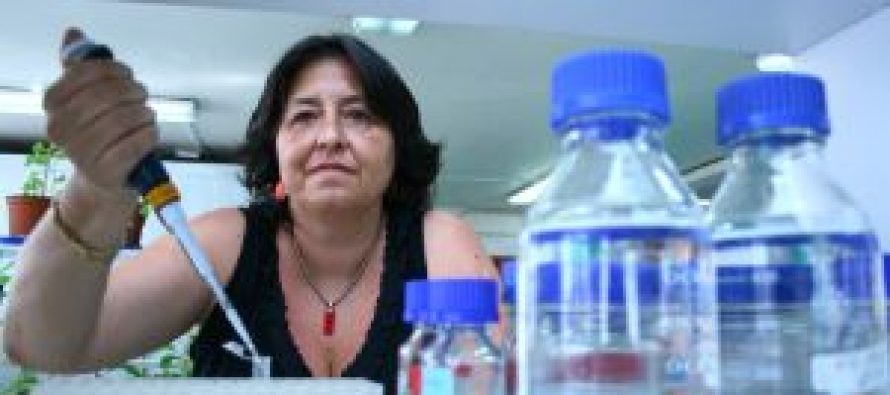 Compuesto sobre la base de algas acelera crecimiento de árboles en 25%