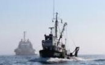 Desmienten que embarcaciones industriales operen dentro de las cinco millas marítimas