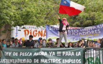 Trabajadores industria pesquera: “La licitación afectará el empleo de miles de trabajadores”