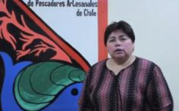 Sindicatos de pescadores artesanales apoyan reforma a la Ley de Pesca y proponen indicaciones