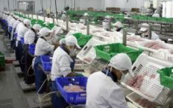 Trabajadores pesqueros: “No perjudiquen nuestra estabilidad laboral”
