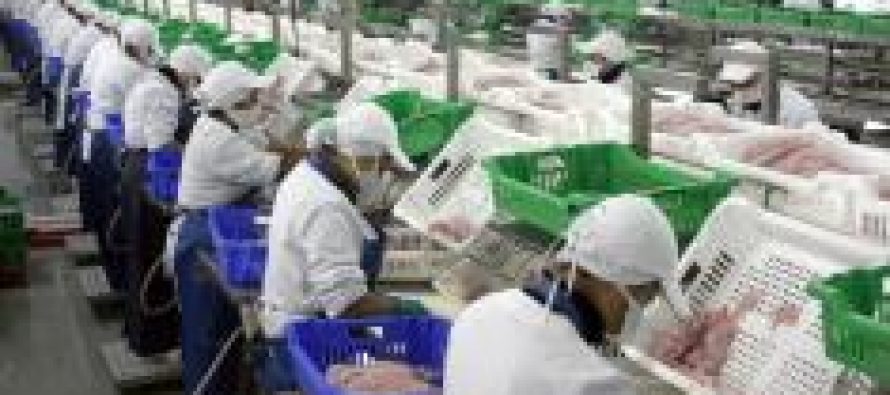 Trabajadores pesqueros: “No perjudiquen nuestra estabilidad laboral”