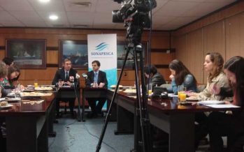 Pesqueros industriales critican licitaciones de cuotas: atentan contra la sustentabilidad