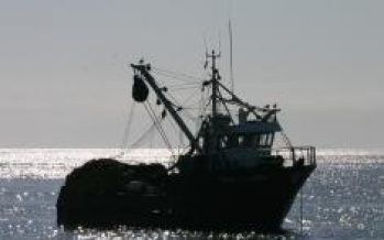 Ley de Pesca, buscando la sostenibilidad