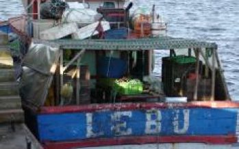 Sindicato de patrones y capitanes de la pesca manifiesta preocupación del sector