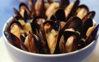Productos del mar son protagonistas: Alimentos chilenos se lucen en supermercados de Alemania