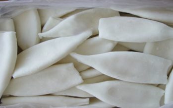 Caen las exportaciones de calamar gigante
