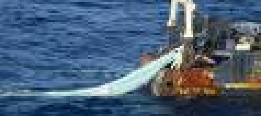 Implementación de la Ley de Pesca: Afinando los últimos detalles