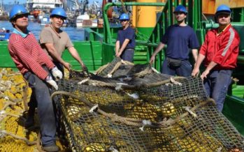 En Chile: Protección de zonas marinas de interés
