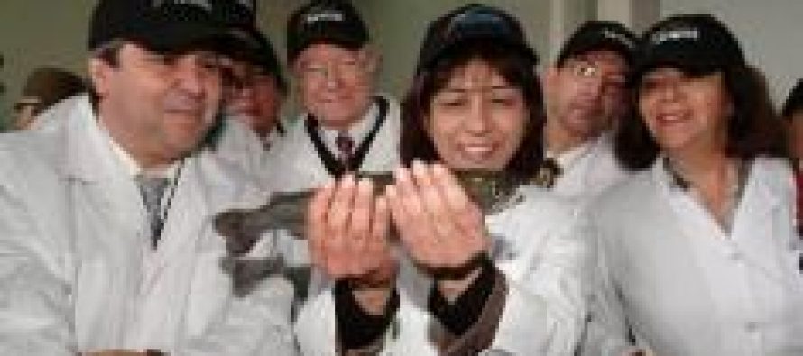 Pesquera Landes decide congelar sus inversiones ante “avalancha de reformas”