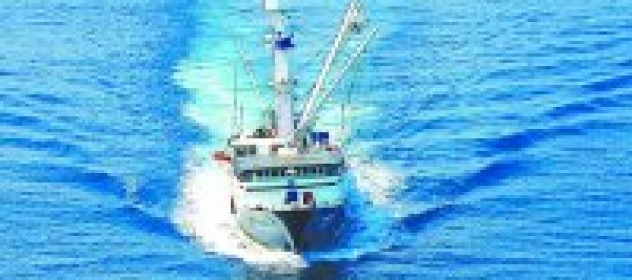 Pesca: Recaudación por pago de patentes y royalty cae cerca de 50% en 2014