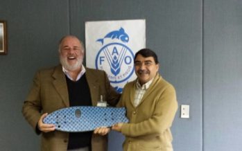 Osciel Velázquez llama al diálogo para mejorar Ley de Pesca sin dejar de operar.