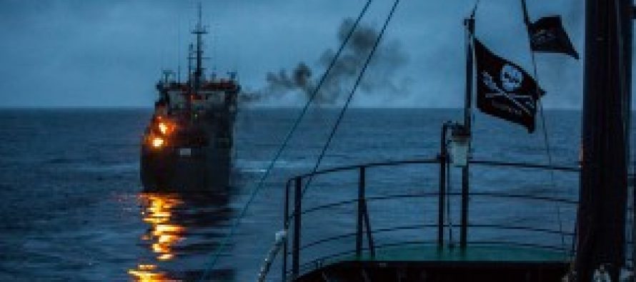 La posición de Chile ante preocupación mundial por la pesca pirata