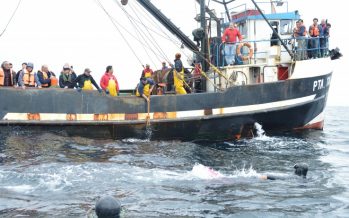 Coquimbo: Recuperan líneas de cultivos acuícolas para reimpulsar la actividad en Tongoy