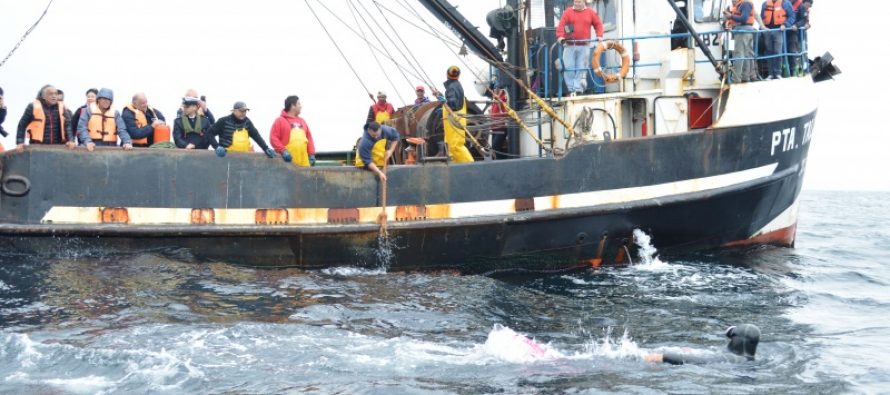 Coquimbo: Recuperan líneas de cultivos acuícolas para reimpulsar la actividad en Tongoy