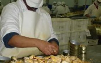 La Florida: Camanchaca abrió punto de venta y promoción de productos del mar