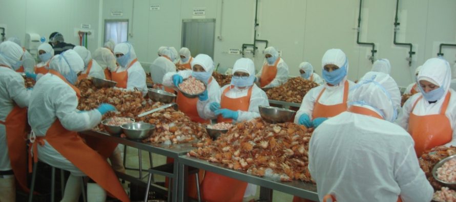 Pesca de crustáceos de la región se ve amenazada por posibles cambios a la Ley de Pesca.