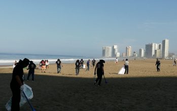 Más de 12 mil colillas de cigarros recolectaron voluntarios en Playa Brava