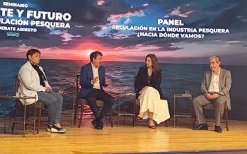 Subsecretario de Pesca se abre a fijar un fraccionamiento permanente y evaluar un mecanismo de traspaso entre artesanales e industriales