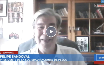 Felipe Sandoval, presidente de Sonapesca por proyecto de fraccionamiento pesquero en Emol Tv