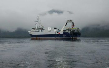 Pesca industrial enfrenta difícil año por inestabilidad de mercados y pandemia