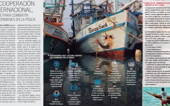 La cooperación internacional, clave para combatir los crímenes en la pesca