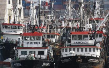 Camanchaca recibe certificación internacional y presenta su primer Reporte de Sostenibilidad en Pesca