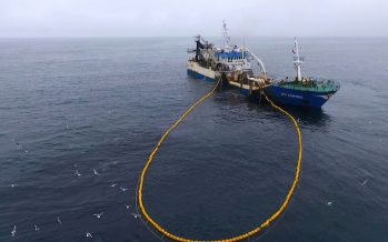 Pago de impuestos de la pesca industrial se duplica en dos años