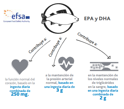cuadro-rfsa_omega