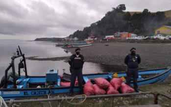 AmiChile se refiere a últimos decomisos y denuncias relacionadas con la mitilicultura