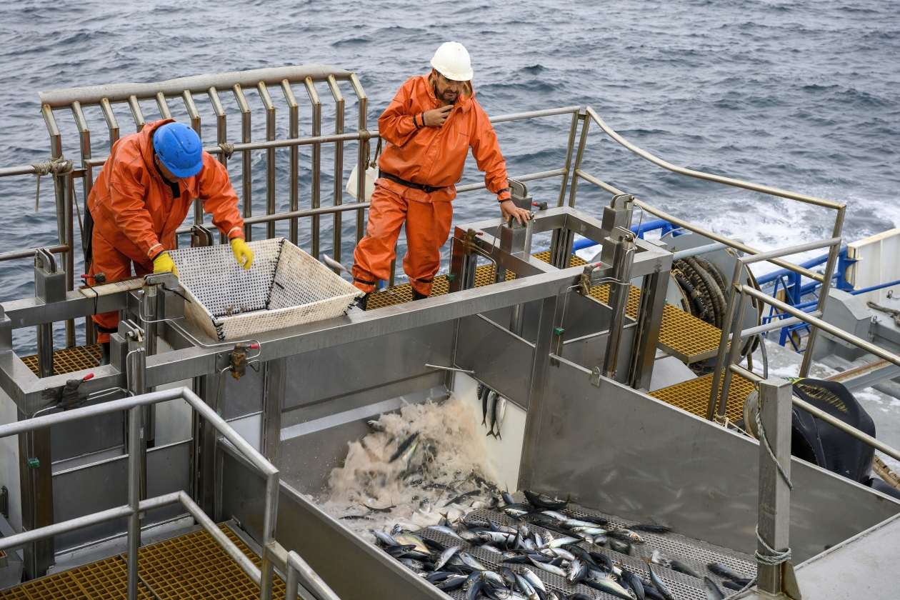 CUÁLES SON LOS BENEFICIOS DE LA TECNOLOGÍA AVANZADA EN CARRETES DE PESCA?