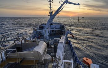 Pesca Industrial destaca la situación del jurel y crustáceos, pero mantiene preocupación por la merluza común