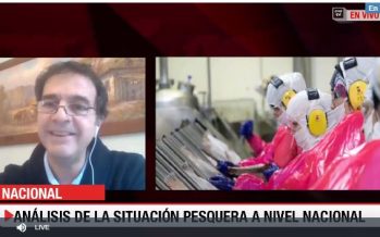 Entrevista Héctor Bacigalupo en Emol Tv