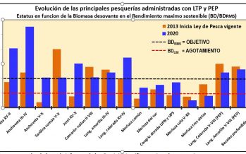 El 63% de las pesquerías industriales en Chile están dentro del rendimiento máximo sostenible